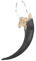Nature-Watch Birds of Prey Raptor Craft Kit (Makes 25 Projects)