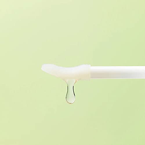 innisfree Green Tea Hydrating Lip Oil Moisturizer Antioxidant Treatment , 0.15 Oz (Pack of 1)