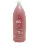 BACK TO BASICS by Graham Webb: VANILLA PLUM FORTIFYING CONDITIONER FOR WEAK HAIR 33.8 OZ