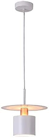 Suspension luminaire en fer forgé style scandinave moderne pour chevet de chambre 21cm