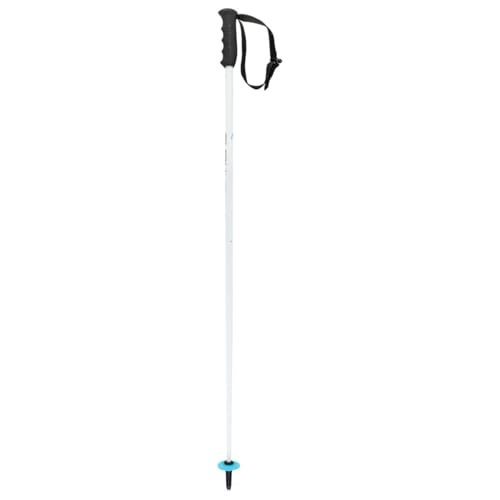 Passante per neve in polvere HEAD Youth Worldcup SL JR - Bastoncini da Sci Unisex, Colore: Bianco/Nero/Blu Speed, 110