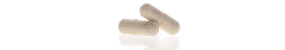 GINKGO BILOBA * 60 mg / 240 gélules * Titré à 24% min. en glycosides de flavonol et à 6% min. en lactones terpéniques * Cardiovasculaire, Cerveau, Immunitaire
