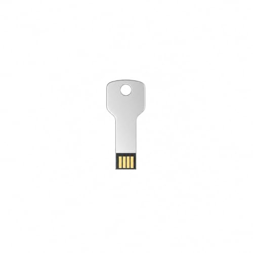 Image of Otario 64GB Key Shape USB Pendrive | Metal Keychain Flash Drive | Portable & Reliable Storage for Laptop, PC, Mobile, Tablet, Car Audio & Music