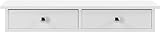 PREMZO Modern Floating Wall Mount Shelf Shelves With Drawers Home Décor Display Rack Organiser Sideboard Stylish Storage Solution for Every Room (2 DRAWERS)