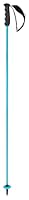 HEAD Unisex-Adult Worldcup Rebels Carbon Skistöcke, Speed Blue/Schwarz/Weiß, 140