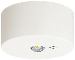 Amazon.co.jp: 非常用照明器具 - 施設照明器具: 産業・研究開発用品