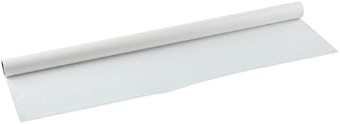 Canson Artist Series Glassine Slip Sheet Paper, Roll, 36inx20yd (25lb/40g) - Artist Paper for Adults and Students