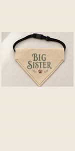 PAWROVE Big Sister Dog Bandana with Adjustable Buckle — view 16
