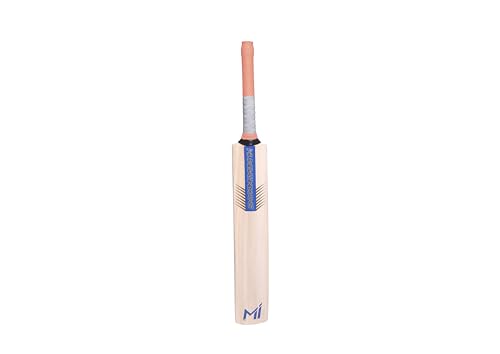 Image of playR Smart Kashmir Willow Bat - Cricket Bat for Leather Ball, High Performance Cricket bat for Power Shots, Lightweight for Training, Casual, Club Matches for All Season
