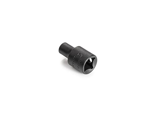 Image of TEKTON 3 /8 Inch Drive x 1 /4 Inch Shallow 12-Point Impact Socket | SID12206