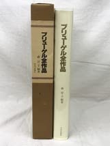 Amazon.co.jp: ブリューゲル全作品 中央公論新社 ブリューゲル 森洋子