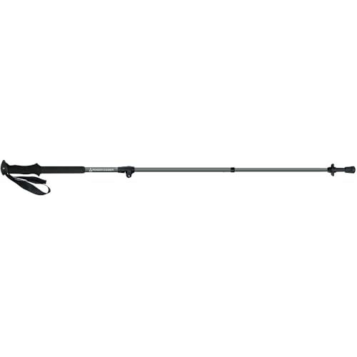 ���W���[�G�[�K�[�iROGEREGGER�j �g���b�L���O�|�[�� Thru-Hike115 RE26SFU5700081 GRY�i�O���[/�e�e/Lady's�j