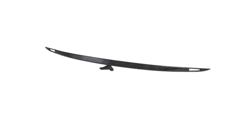 ABS style fibre de carbone Tesla Model S 2019-2022 protection de coffre rigide