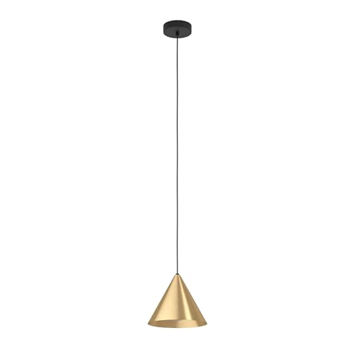 La lampada a sospensione è realizzata con un paralume in metallo in ottone spazzolato e un interno in oro; Con il baldacchino di metallo in nero e il cavo tessile dello stesso colore, l'apparecchio si adatta ottimo a contesti moderni e minimalisti