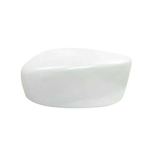 Coque de rétroviseur blanc anti-UV pour protection voiture Accord
