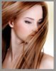 14" Clip in Human Hair Extension - Amy Clip It (Dark Blonde(#6))