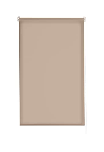 Estoralis Gove | Estor Enrollable Diseño Moderno | Sin Taladrar Translúcido Liso | Color Taupe | 65 x 180 cm (Ancho/Alto) Tamaño Tela 62 x 175 cm | Estores para Ventanas y Puertas
