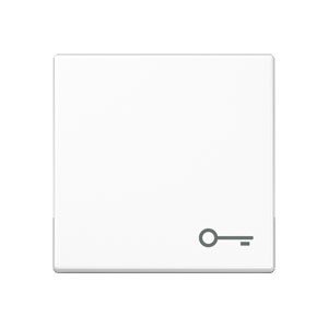 Wippe Symbol Tür alpinweiß A 590 BF T WW 4011377121492 Jung