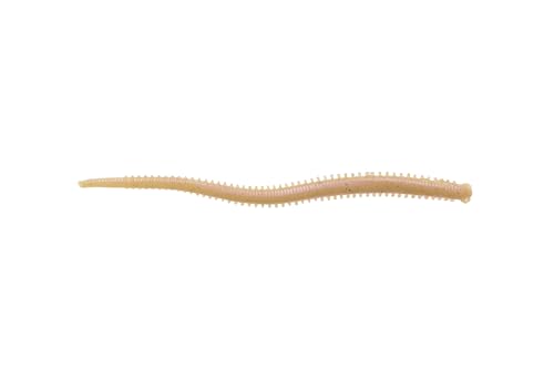 Berkley (バークレイ) ガルプ!SWサンドワーム2 G2SQSW2 各種 匂い 味 ワーム 2枚目