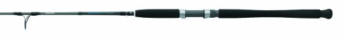 Daiwa Saltist 7-Feet 1-Piece Spin Jigging Rod, 30-70-Pound