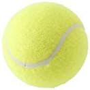 Miniatura 3 de Penn Campeonato (20 latas, 60 bolas de fieltro regular en total)