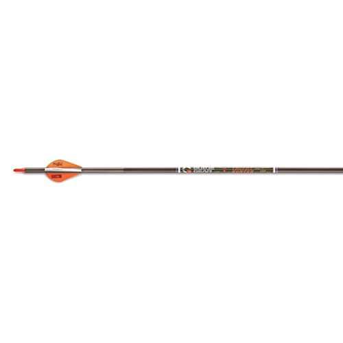 Guide Gear Trophy Hunter Pro 31-Inch Carbon Archery Hunting Arrows, 400 Spine, Practice Target Arrow For Compound And Recurve Bow By Victory Archery, 6 Pack #TOP3