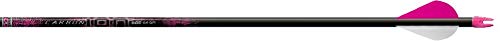 Easton Carbon Ion Pink Factory XP Vane (6-Pack), Multi, 600