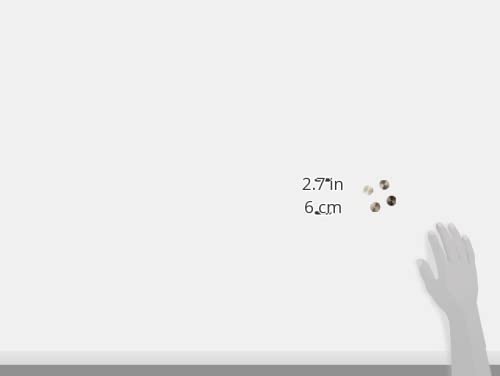 Blomus Set di 4 magneti Ø 2 cm