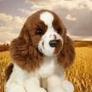 Memorable Pets Springer Spaniel - Terapia wypchanych zwierząt dla osób z utratą pamięci w wyniku starzenia się i opiekunów