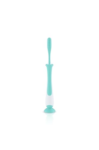 Image of Pigeon Training Toothbrush Lesson 4 Mint | Baby Oral Care Toothbrush