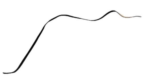 Hydra Fitness Exchange Foam 1000451608 Works with Matrix Retail CTM752 CTM1027 CTM774 Treadmill