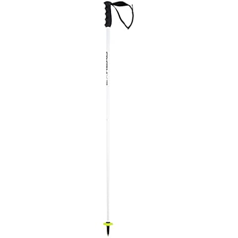 HEAD Unisex Adult Worldcup SL Ski Poles Cover