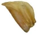 Dried Cow Ears (50)