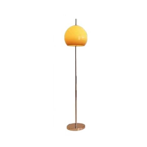 FZL02068LM Lampara de Pie Lámpara de pie redonda for dormitorio, sala estar, oficina, lámpara LED regulable con interruptor remoto Floor Lamp