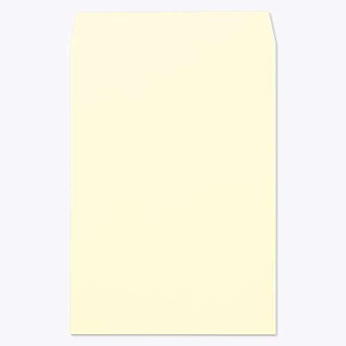 RN  p1 \ ECN[CoC 100g giV 100 / B4p pXeJ[ n X֔ԍgȂ 00528001-0100