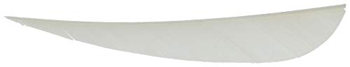 Gateway Feathers 4 in. RW 12 PK. White