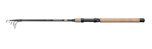 Azione moderata-veloce (progressiva) del blank - Progettata con un'azione moderata-veloce, la canna offre prestazioni versatili adatte a un'ampia gamma di esche, tra cui spinner, spoon e crankbait, migliorando la vostra esperienza di pesca.