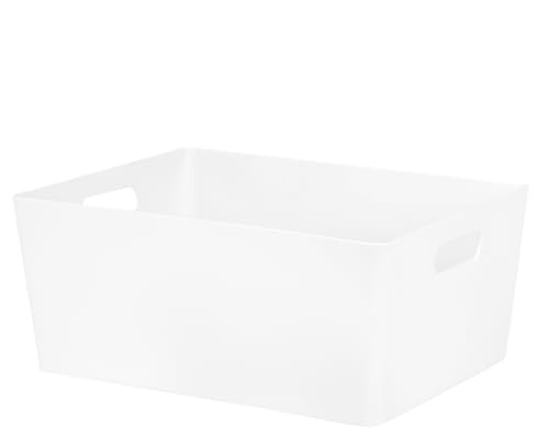 Aurora-Studio Basket 5.02 Rectangular Plastic Storage Baskets Office Home & Kitchen Tidy Organiser (Ice White)