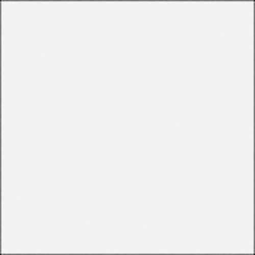 Rosco E-Colour #250 1/2 White Diffusion (21x24 Sheet)