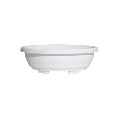 Image of Harshdeep Bonsai Planter 16 Inch - Oval - Indoor Outdoor Home Living Room Balcony Decorative Plastic Flower Pots Set of 2 (White)