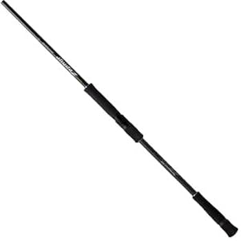 Amazon | エバーグリーン シーバスロッド アバンギャルドZAGS