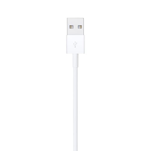 Apple Lightning to USB Cable (1 m)