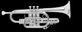 bach stradivarius 37  Vincent Bach Cornett 181L Stradivarius 181SL