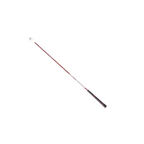 �݊���������܂�MO EYES HG05 �S���t�X�C���O�X�s�[�h�g���[�i�[�A�łĂ���K�g���[�j���O�G�C�h�ɑΉ�(Red97Cm-Circle)