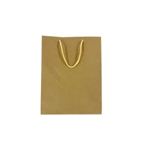 Nutscart.in Design Carry Bag Set of 10 | Brown | 6.8 x 7 IN (B0DBZR2Q45) Amazon Price History, Amazon Price Tracker