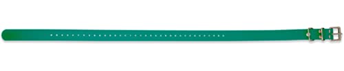 Collier Educator BioThane 2.5 cm ultra résistant et imperméable pour chien actif - 5