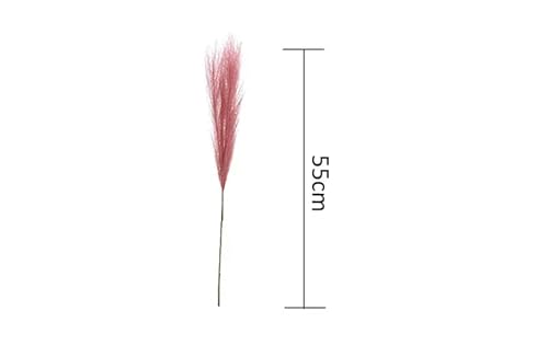 Boho Room Decor 5 unidades Hierba Pampas 55 cm Coffee miniatura 5