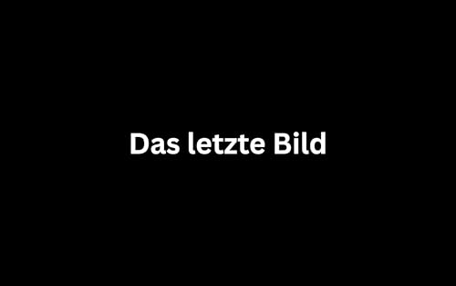 Das letzte Bild