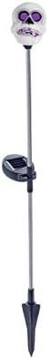 Skull Path Solar Light