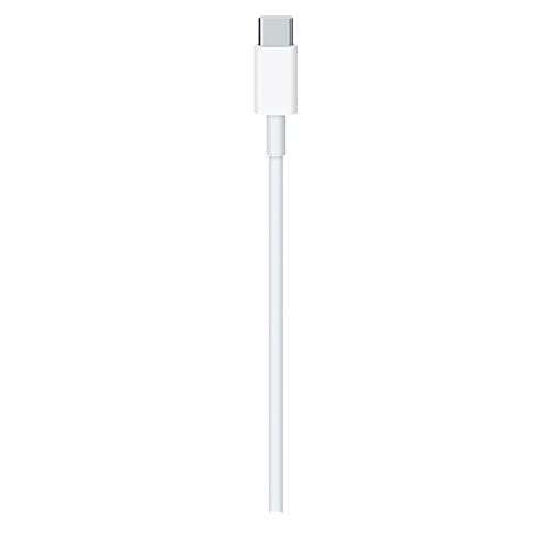 Image of The Black Store Original Dynamic Series Fast Charging Data Cable Type-C to Type-C for Laptop, Tablet, Smartphone (White, 100W 2M)
